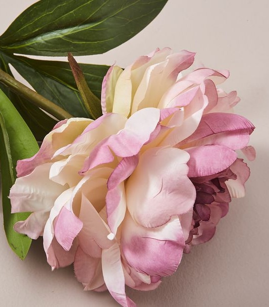 Faux Peony Stem - 65cm