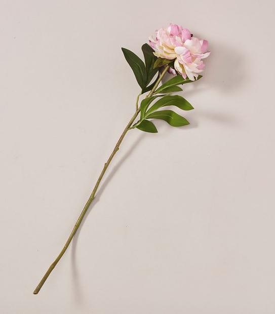 Faux Peony Stem - 65cm