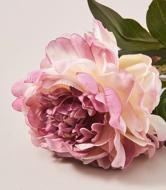 Faux Peony Stem - 65cm