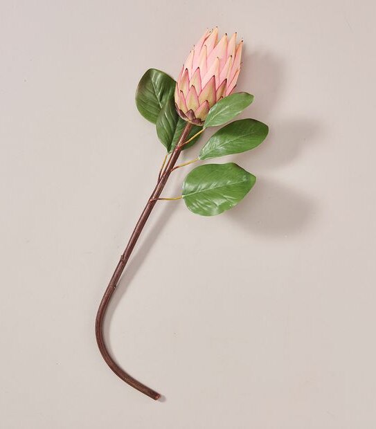 Faux Protea Stem - 65cm
