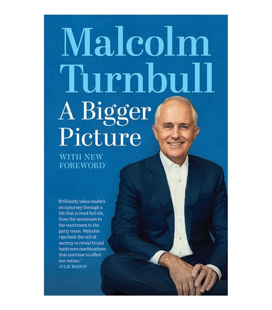 Bigger Picture - Malcolm Turnbull