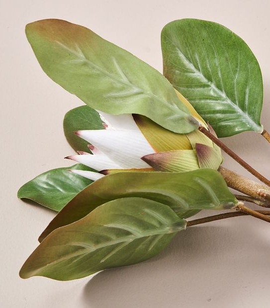 Faux Protea Stem - 50cm