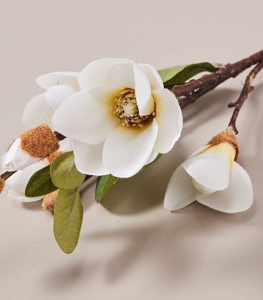Faux Magnolia Stem - 75cm