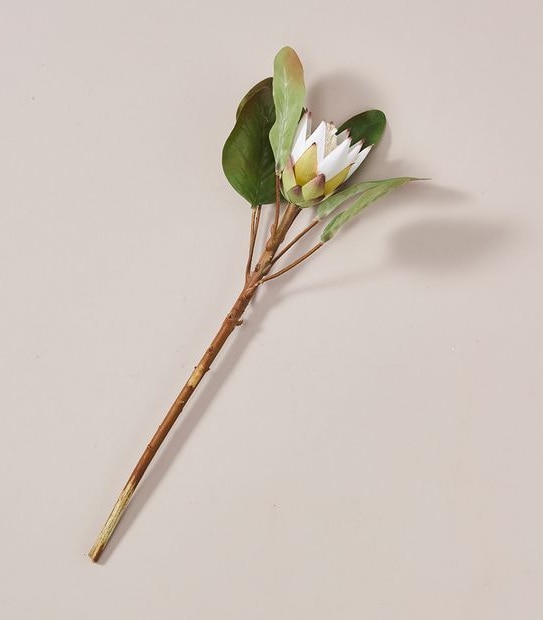 Faux Protea Stem - 50cm