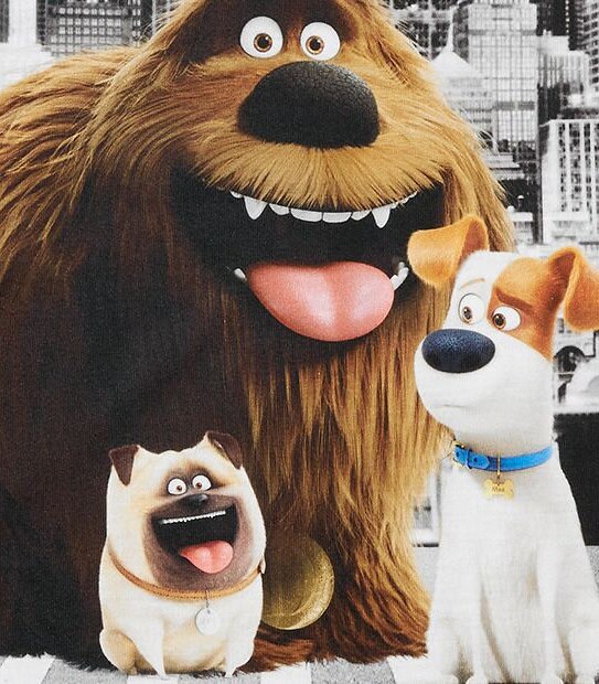 The Secret Life Of Pets Short Sleeve 'Uptown Pets' T-Shirt