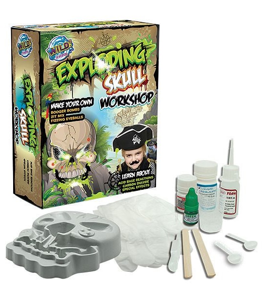 Wild Science Exploding Skull Workshop