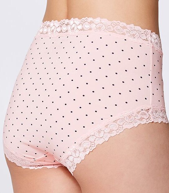 Micro Lace Full Briefs