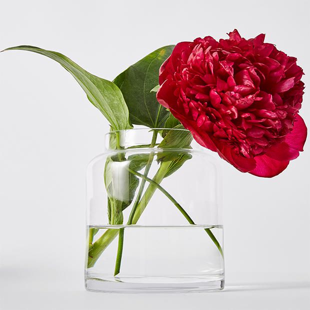 Wide Opening Glass Vase Target Australia