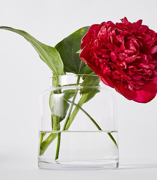 Wide Opening Glass Vase