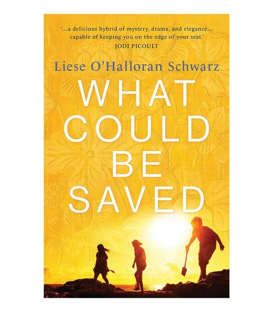 What Could Be Saved - Liese O'Halloran Schwarz