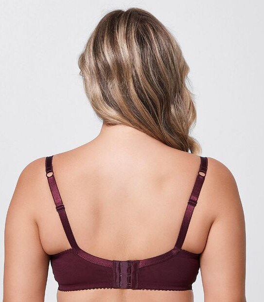 Preview Fuller Figure Lace Soft Cup Bra
