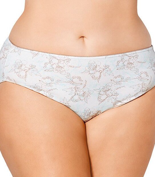 SpaFX New Generation Fuller Figure High Cut Briefs - Aqua