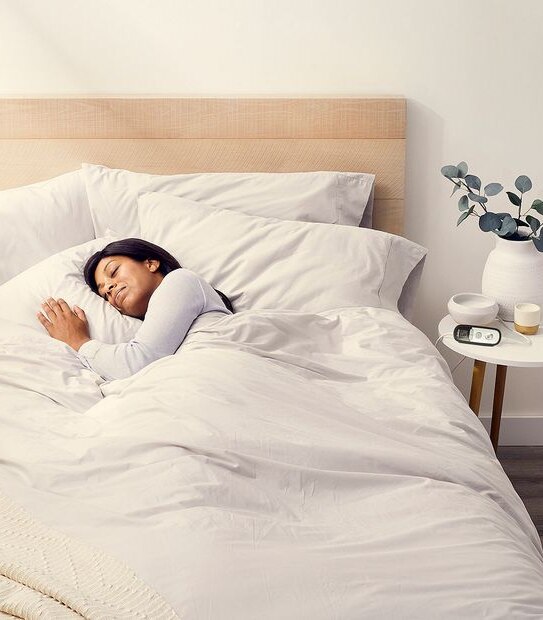 Sunbeam Dreamland Electric Blanket