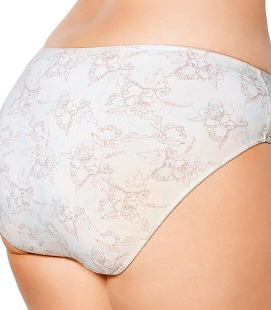 SpaFX New Generation Fuller Figure High Cut Briefs - Aqua