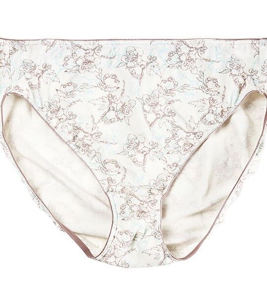 SpaFX New Generation Fuller Figure High Cut Briefs - Aqua