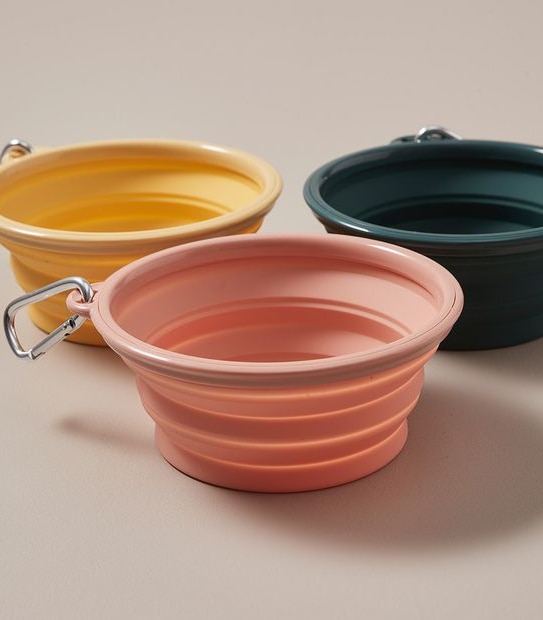 Patch & Socks Pop-Up Travel Bowl - Assorted