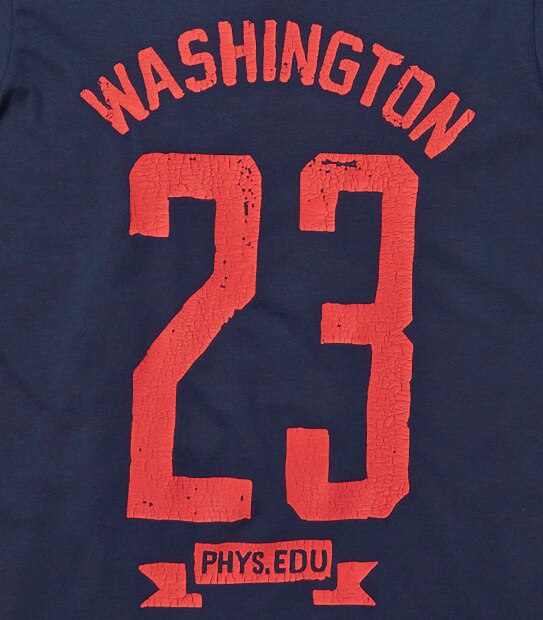 Short Sleeve Washington Print T-Shirt