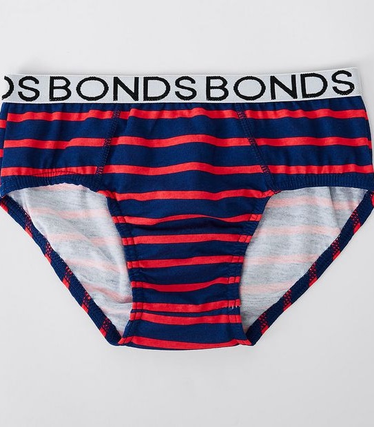 4 Pack Bonds Briefs