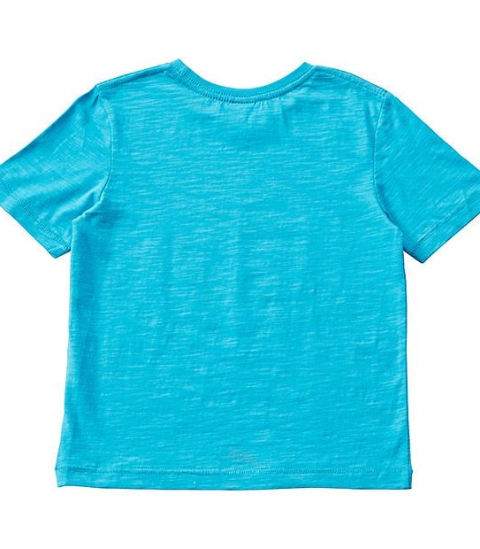 Short Sleeve Hawaii T-Shirt