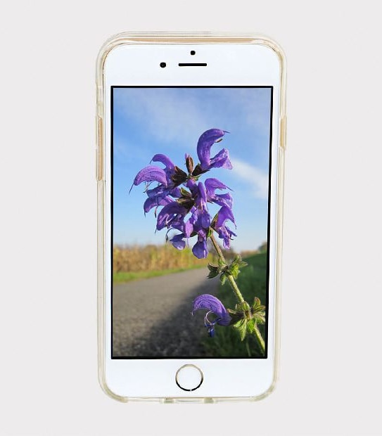 Target iPhone Case - 6/ 6S/ 7