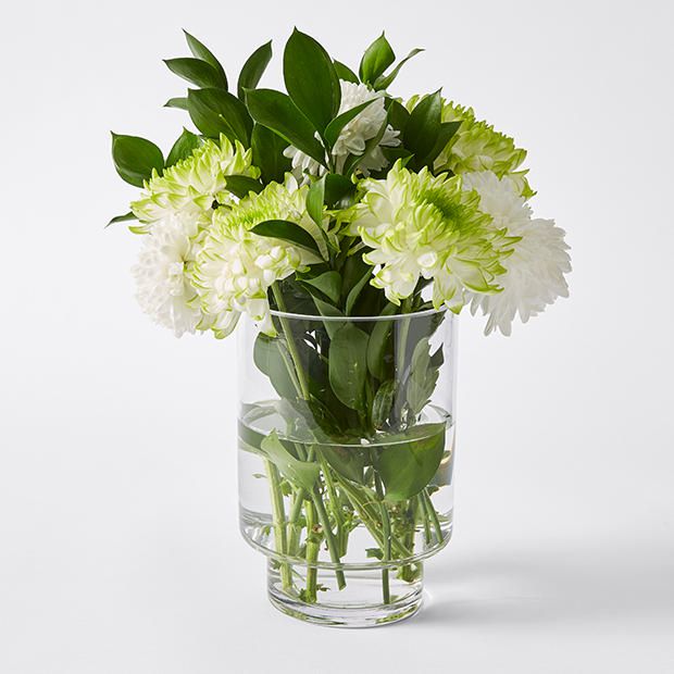 Wide Opening Glass Vase Wide Opening Glass Vase