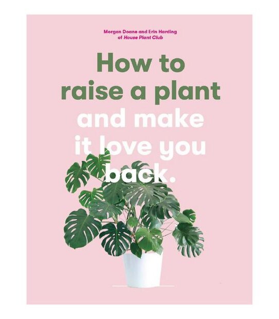 How To Raise A Plant And Make It Love You Back