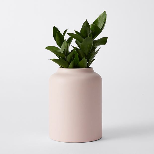 Ceramic Vase Target Australia