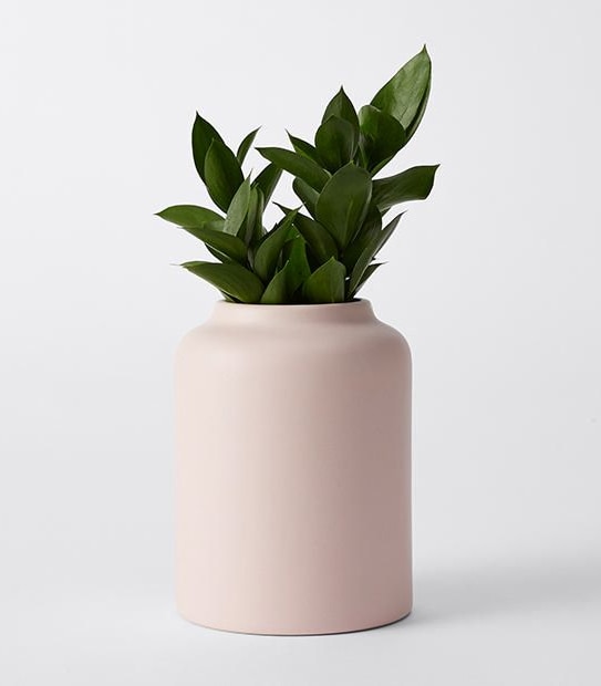 Ceramic Vase