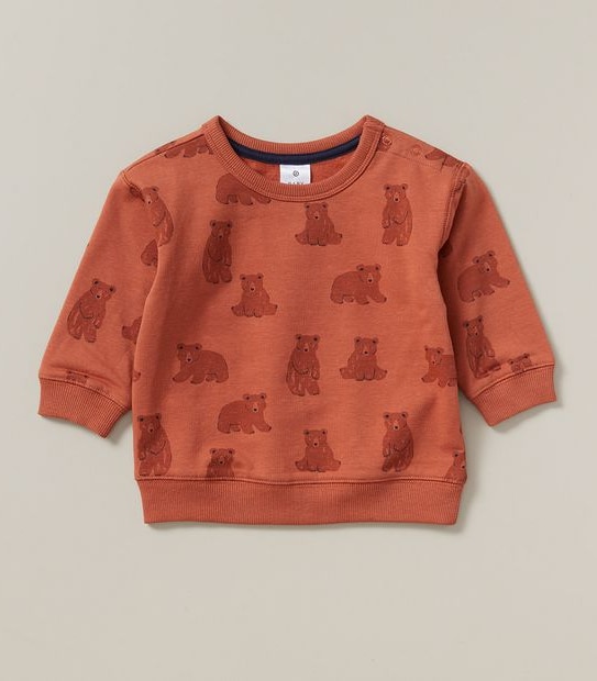 Baby Bear Jumper