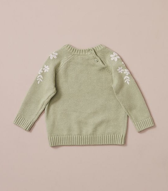 Baby Knit Embroidered Jumper