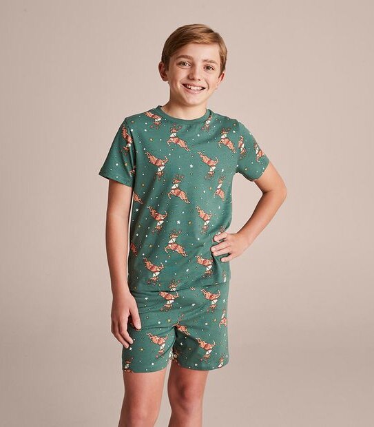 Kids Family Matching Christmas Reindeer Cotton Pyjama Set Target