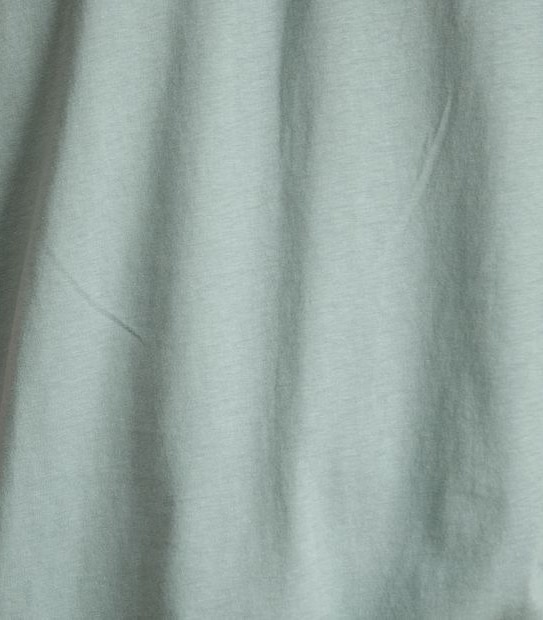 Organic Cotton Curved Hem T-Shirt