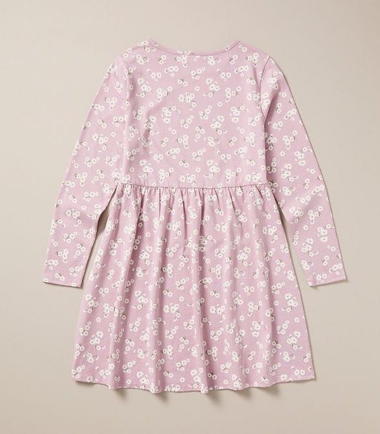 Long Sleeve Print Dress