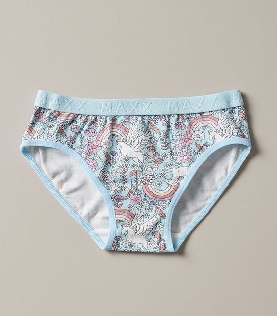 3 Pack Maxx Briefs