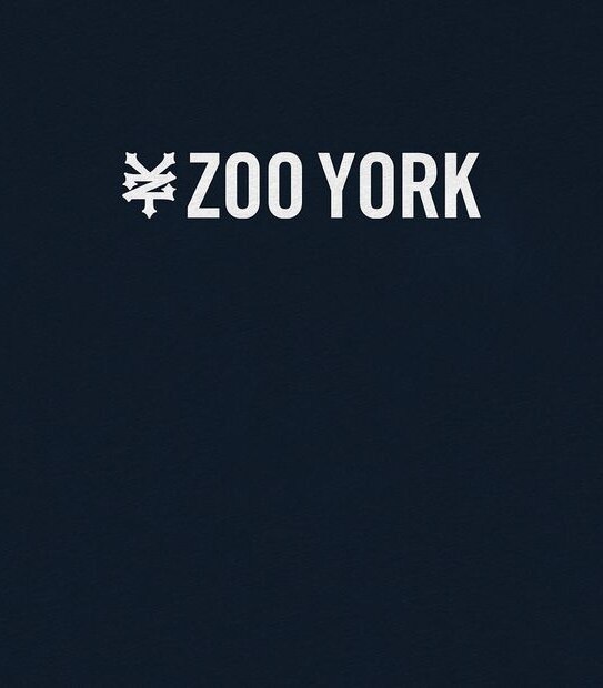 Zoo York Hail T-shirt