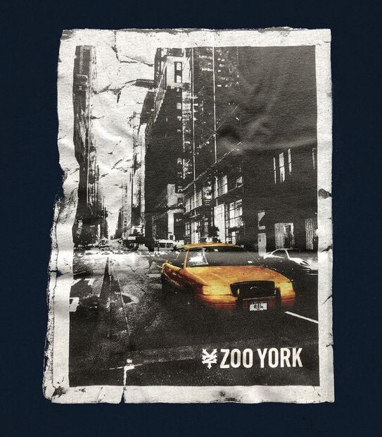 Zoo York Hail T-shirt