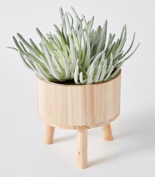 Faux Succulent in Wooden Pot