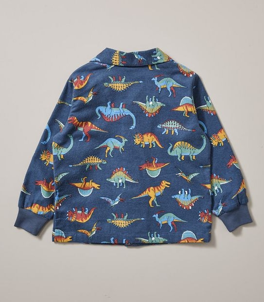 Organic Cotton Flannelette Dinosaur Pyjama Set