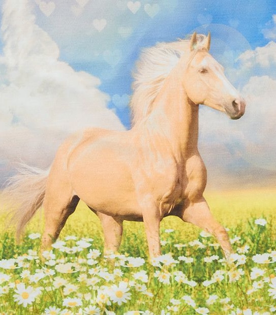 Short Sleeve Horse Print T-Shirt