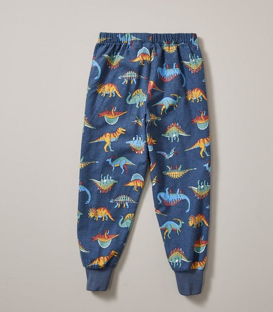 Organic Cotton Flannelette Dinosaur Pyjama Set