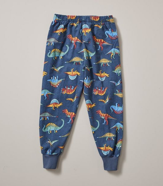 Organic Cotton Flannelette Dinosaur Pyjama Set