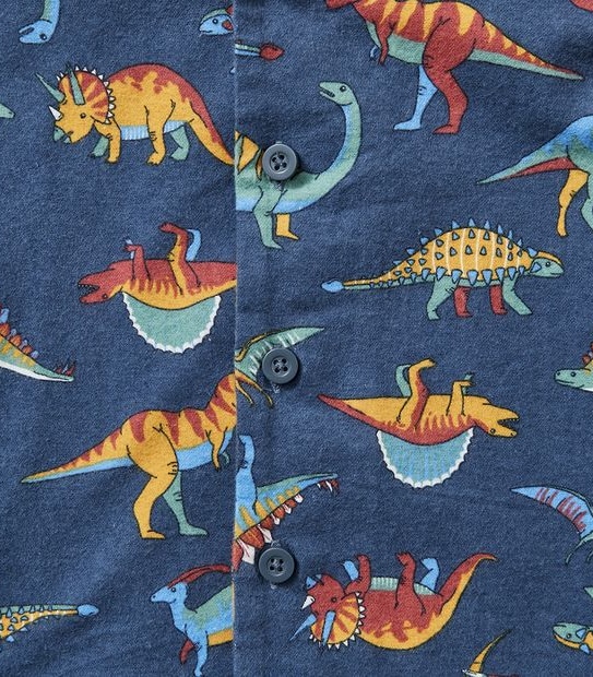 Organic Cotton Flannelette Dinosaur Pyjama Set