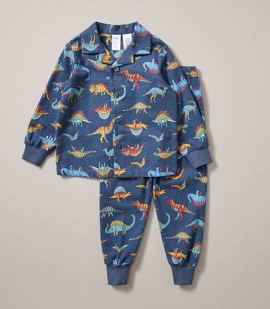 Organic Cotton Flannelette Dinosaur Pyjama Set