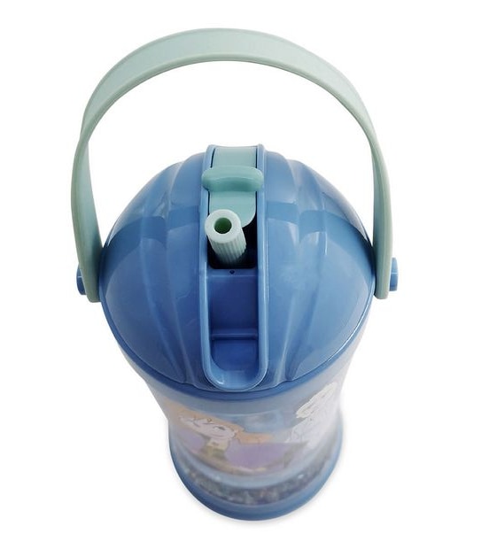Disney Frozen 2 -  Flipstraw Canteen