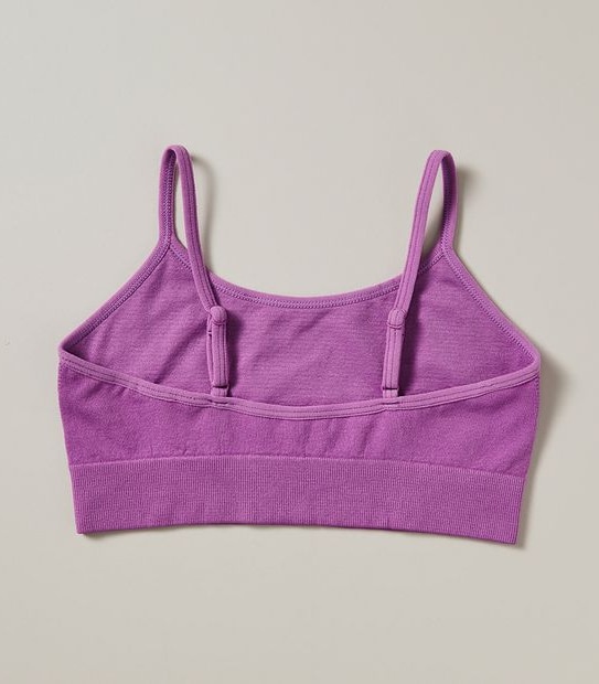 2 Pack Maxx Crops