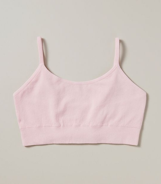 2 Pack Maxx Crops