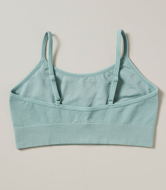 2 Pack Maxx Crops