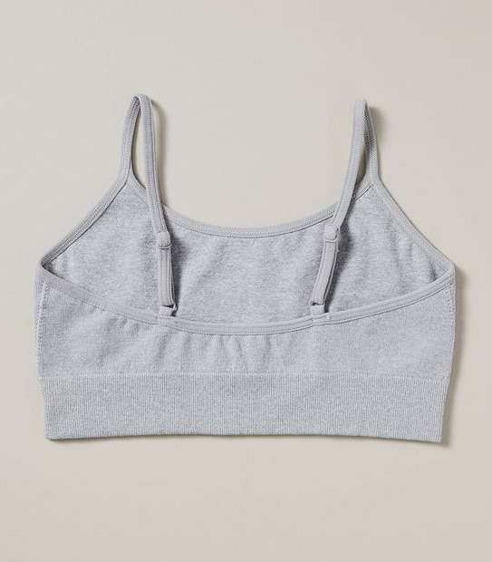 2 Pack Maxx Crops