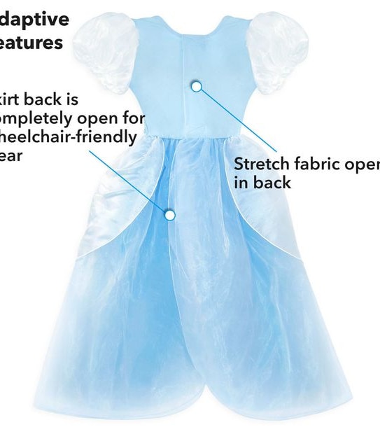 Disney Princess - Cinderella Adaptive/ Wheel Chair Costume for Kids