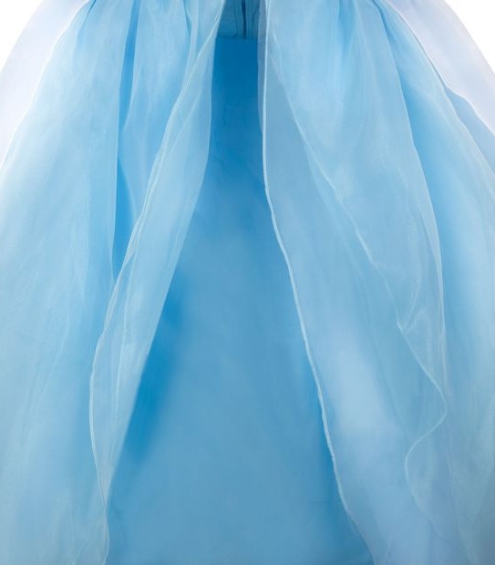 Disney Princess - Cinderella Adaptive/ Wheel Chair Costume for Kids